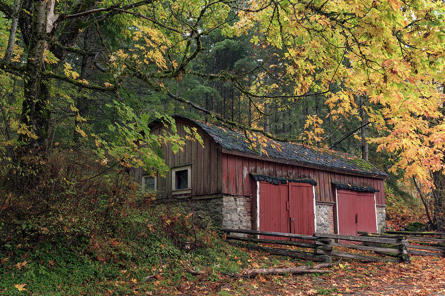 Richard Maxwell Barrel-Roof Shed in the Fall Leaves Photograph by Michael Russell