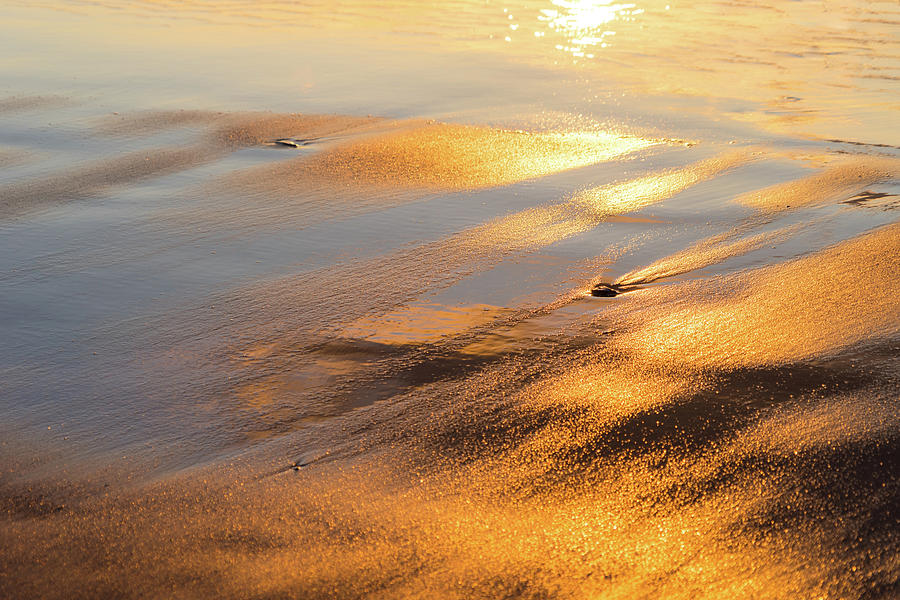 Abstract Photograph - Richly Colored Sunlit Sand Abstract by Georgia Mizuleva