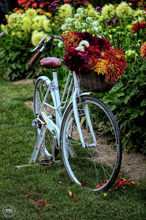 Richmond Country Farms Photograph by Sonja Peterson Photography - Fine ...