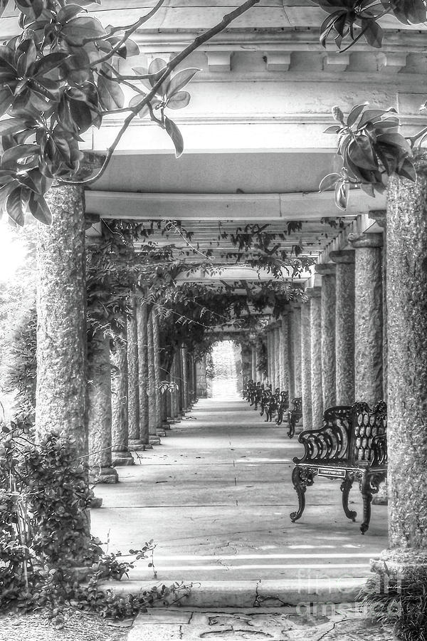 Richmond VA Virginia - Maymont Italian Garden - In Black and White Photograph by Dave Lynch