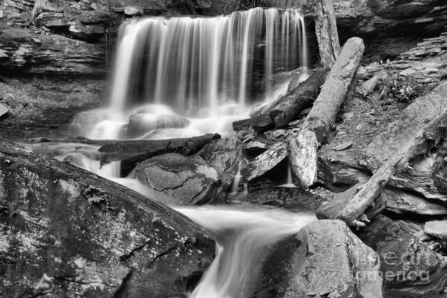 Ricketts Glen B Reynolds Falls Black And White Photograph by Adam Jewell