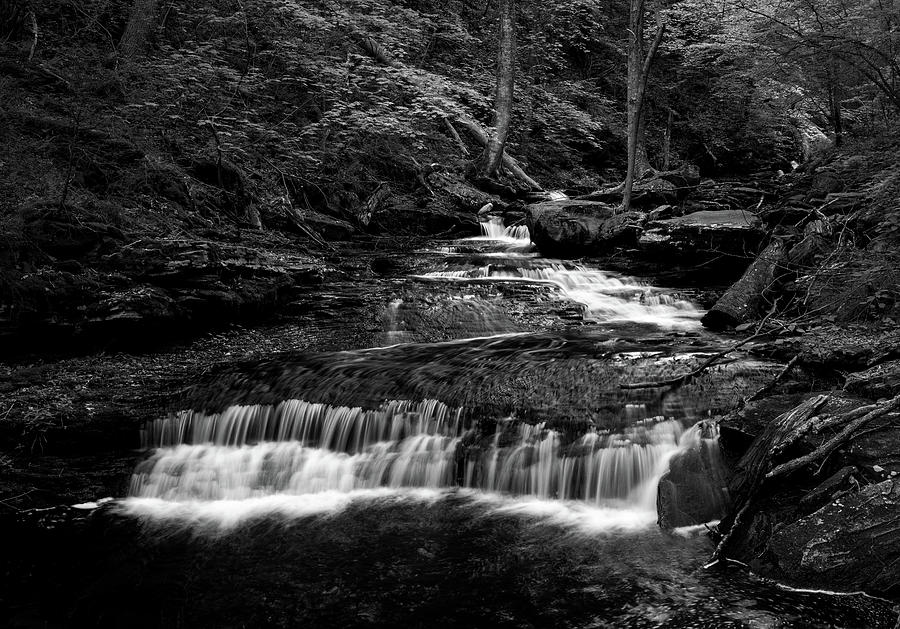 Ricketts Glen Black And White Waterfall Photograph by Dan Sproul