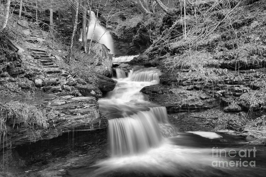 Ricketts Glen Fall Cascades Landscape Black And White Photograph by Adam Jewell