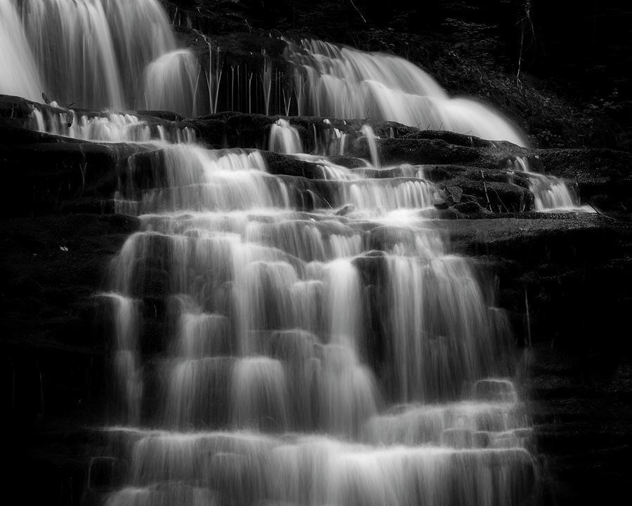 Ricketts Glen Falls Trail Black And White Photograph by Dan Sproul