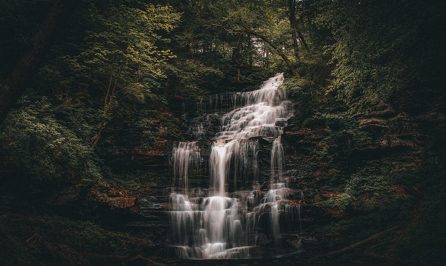 Ricketts Glen Ganoga Falls Photograph by Dan Sproul