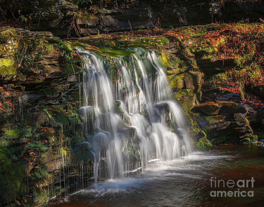 Ricketts Glen - Harrison Wright Falls Photograph by Nick Zelinsky Jr