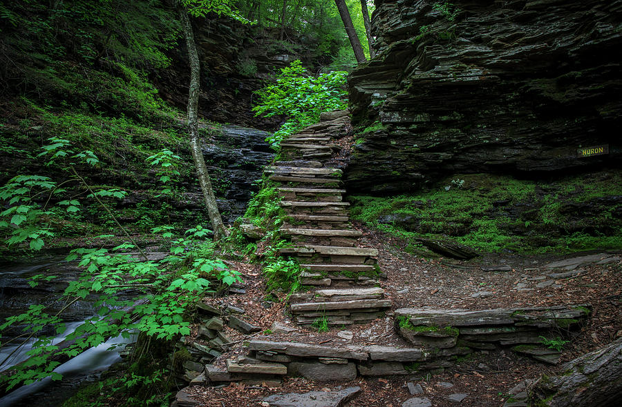 Ricketts Glen Hiking Stairs Photograph by Dan Sproul