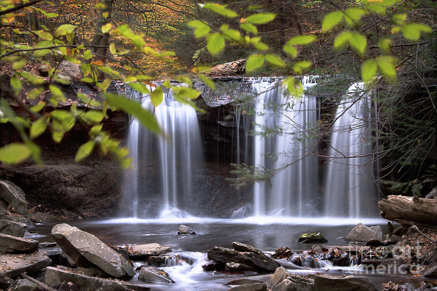 Ricketts Glen - Oneida Waterfall Photograph by Rehna George