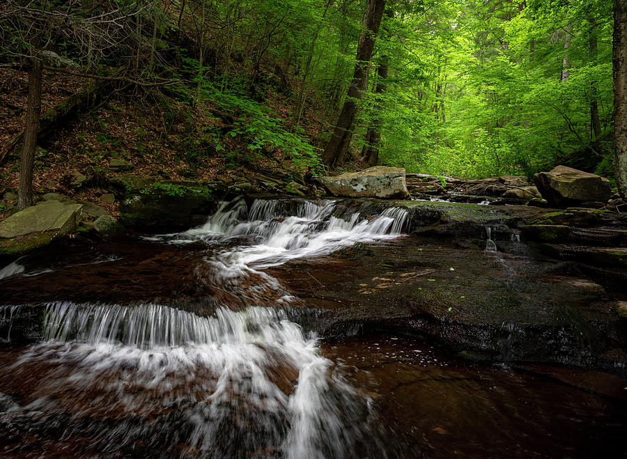 Ricketts Glen State Park Creek Long Exposure Photograph by Dan Sproul