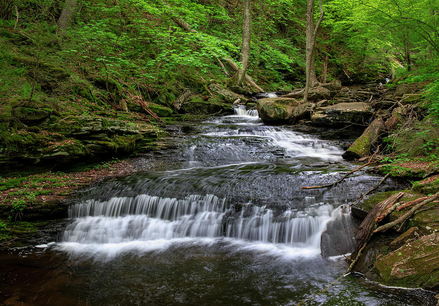 Ricketts Glen State Park Falls Trail Photograph by Dan Sproul