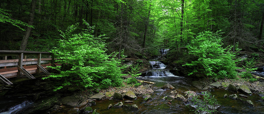 Ricketts Glen State Park Panorama Photograph by Dan Sproul