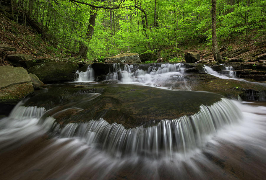 Spring Photograph - Ricketts Glen State Park Pennsylvania by Mark VanDyke