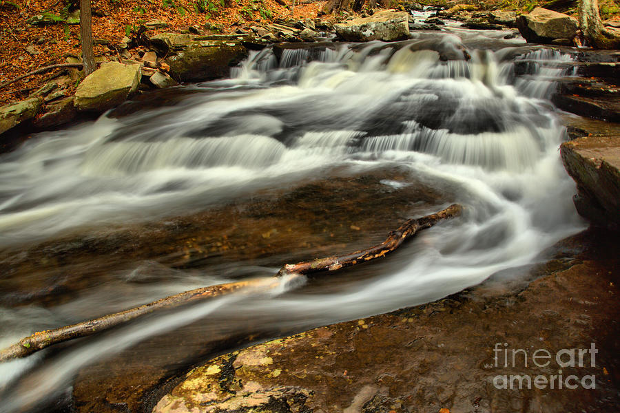 Waterfall Photograph - Ricketts Glen Steam Abstract by Adam Jewell