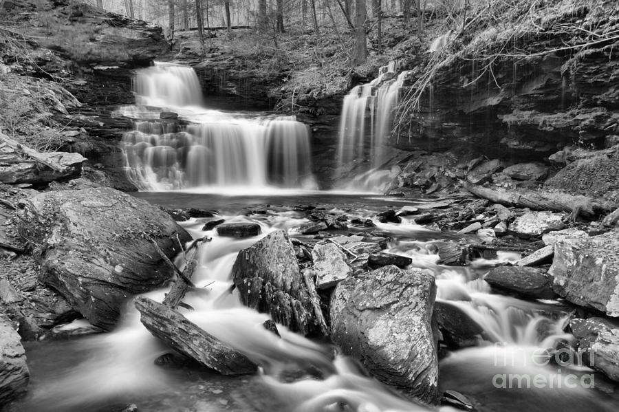 Ricketts Glen Streams And Falls Black And White Photograph by Adam Jewell