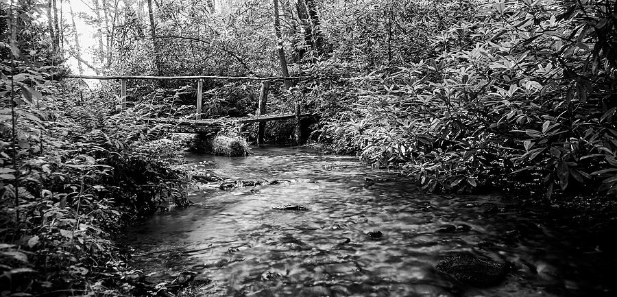 Rickety Wooden Bridge Over a Mountain Stream Photograph by Bob Decker
