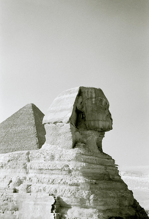Riddle Of The Sphinx Photograph by Shaun Higson