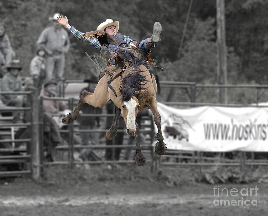 Ride Em Cowboy Photograph by David Jennings Ride Em Cowboy Photograph by David Jennings