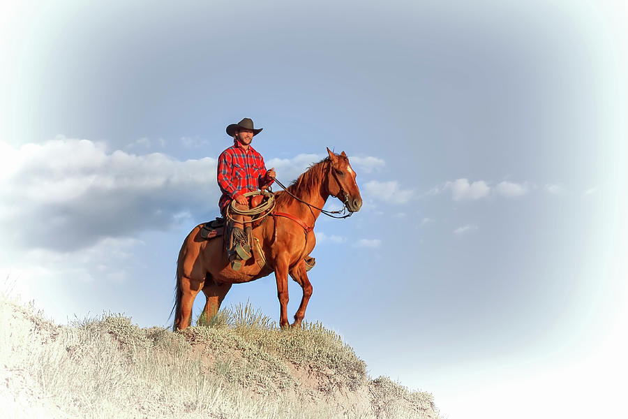 Ride Em, Cowboy Photograph by Kay Brewer