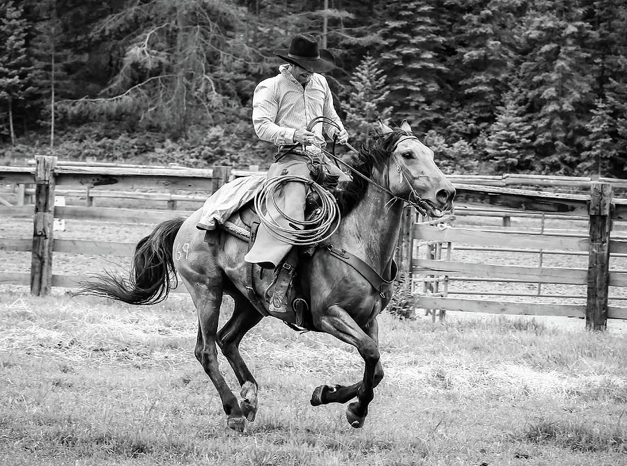 Ride Him Cowboy Photograph