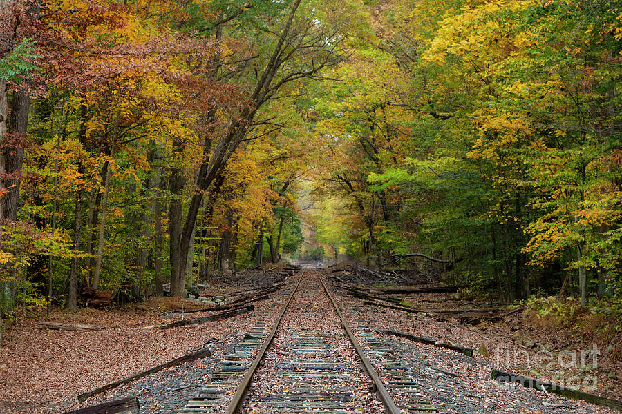 Ride into the Colors of Fall by Yelena Rozov Ride into the Colors of Fall by Yelena Rozov