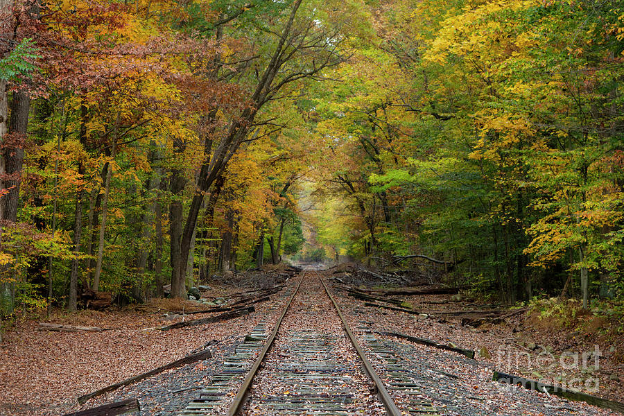 Ride into the Colors of Fall Photograph by Yelena Rozov