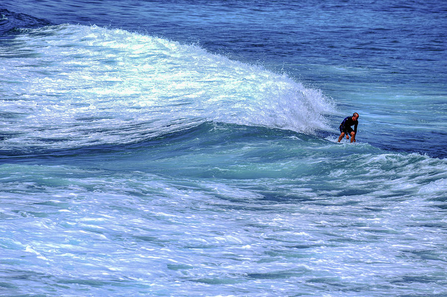 Ride the Wave Photograph by Debra Kewley