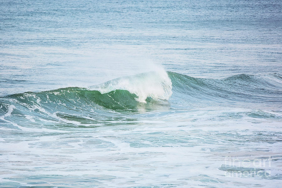Ride the Wave Photograph by Scott Pellegrin