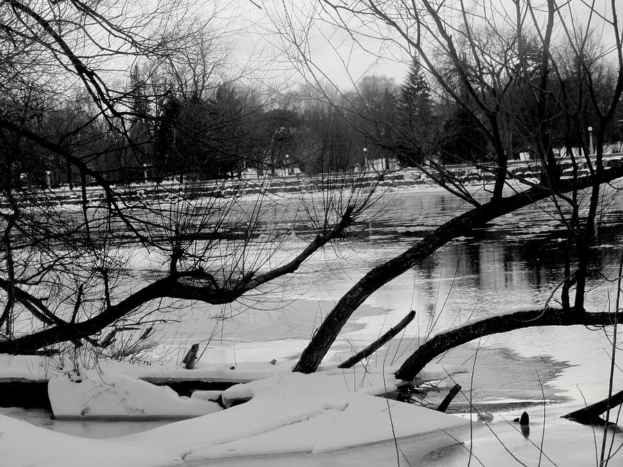 Rideau River Ice Photograph by Stephanie Moore - Fine Art America