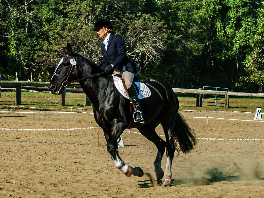 Rider In A Horse Show Photograph
