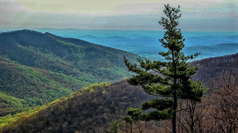 Ridge-and-Valley Appalachians Photograph by Louis Dallara