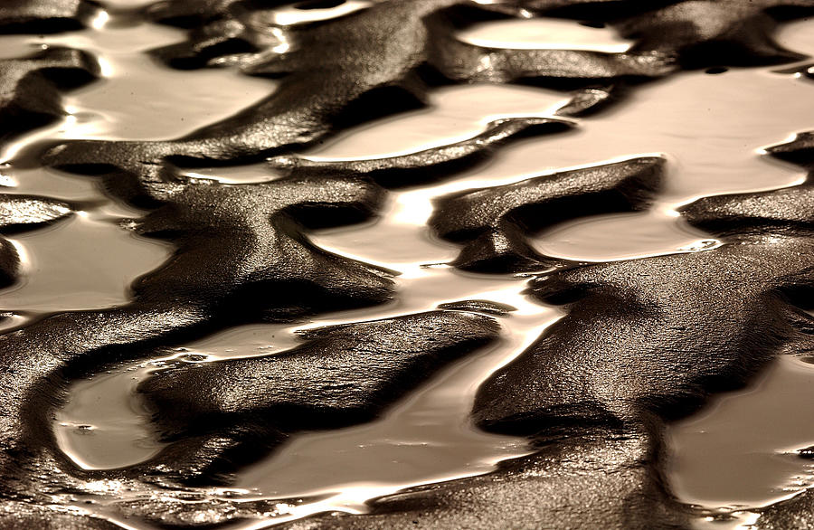 Ridges in the Sand Lake Michigan - Naubinway, Michigan USA - Photograph by Edward Shotwell Ridges in the Sand Lake Michigan - Naubinway, Michigan USA - Photograph by Edward Shotwell