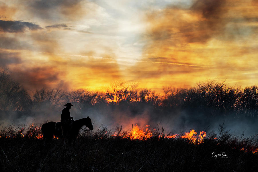 Riding at sunset Photograph by Crystal Socha