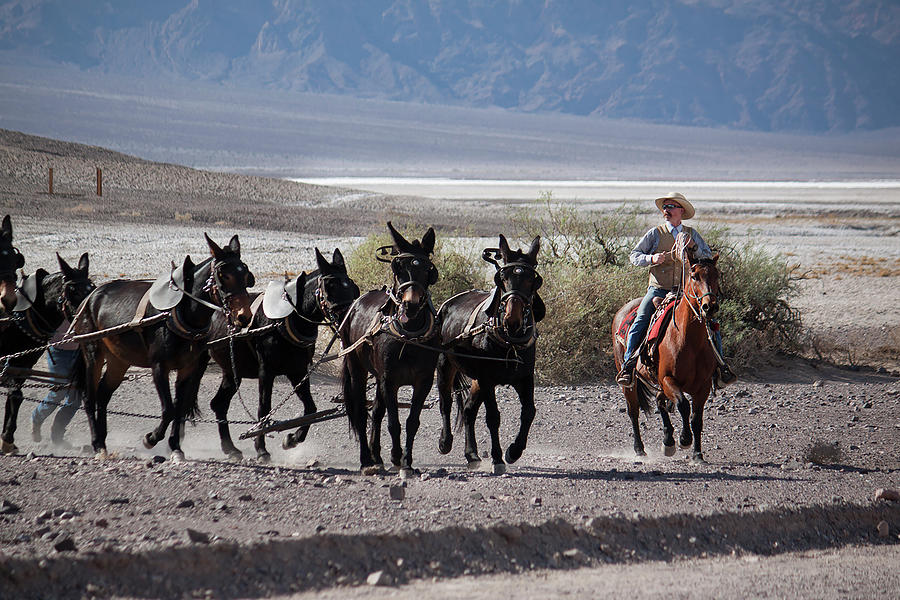 Riding in Death Valley Photograph by Ivete Basso Photography