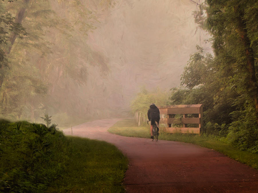 Riding Into the Fog Photograph by Jack Wilson