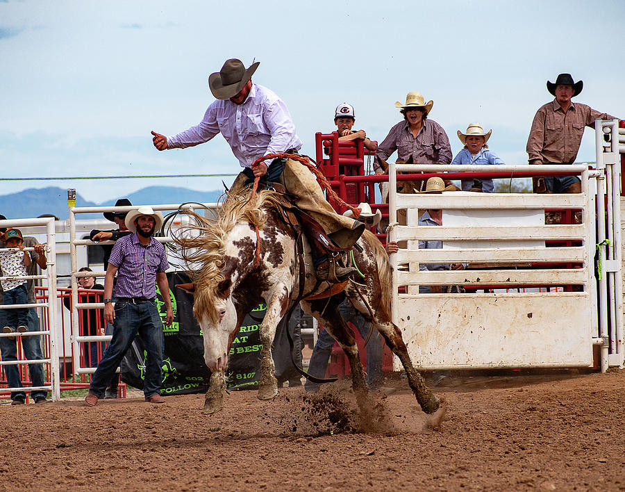 Riding out the Bronc Photograph by Kelly Markus Riding out the Bronc Photograph by Kelly Markus