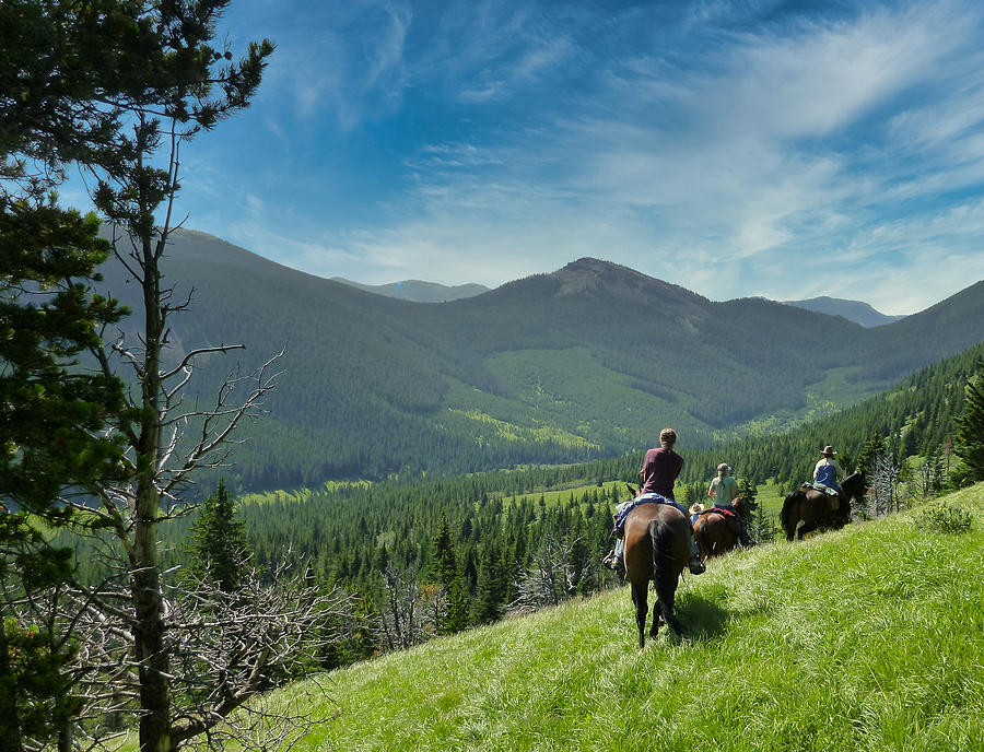 Horse Photograph - Riding the High Country by Phil And Karen Rispin