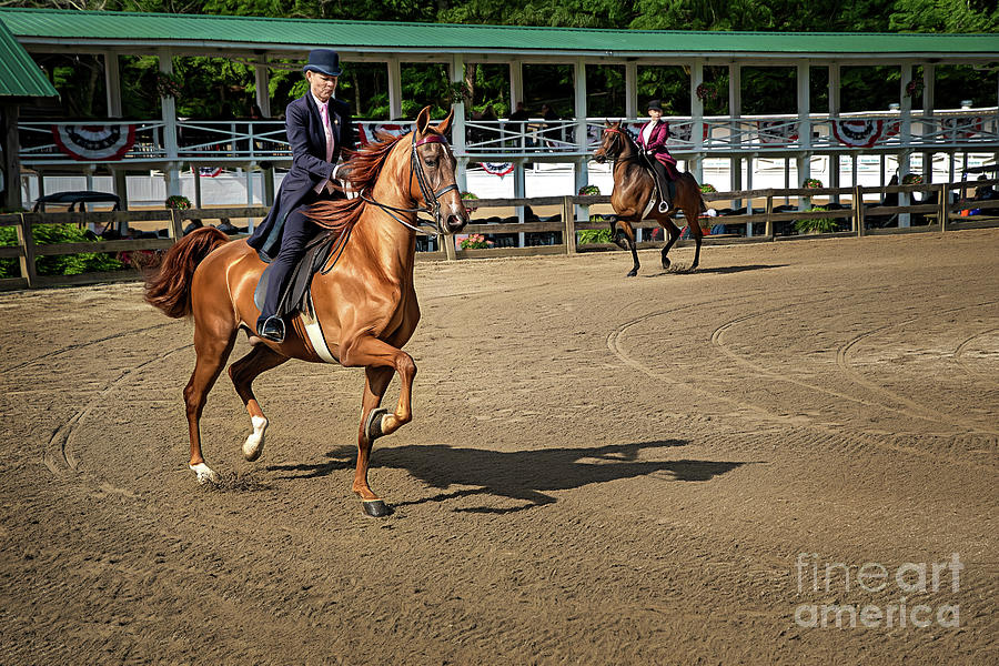 Riding The Practice Ring Photograph by Amy Dundon