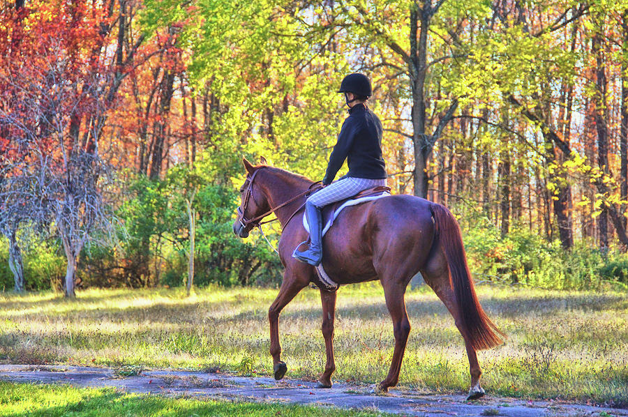 Fall Photograph - Riding Together by Jamart Photography