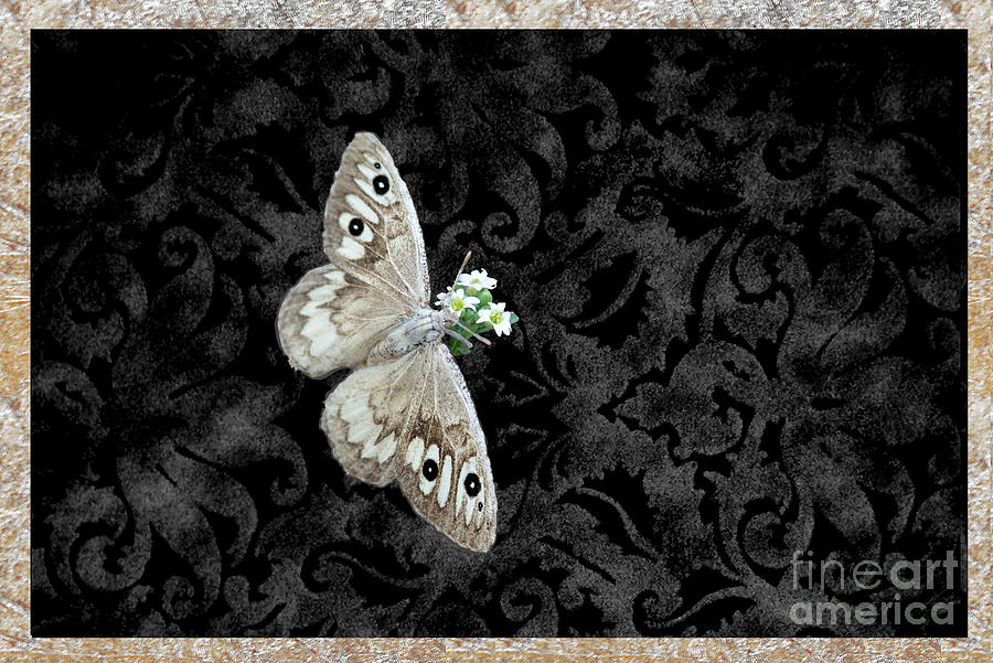 Ridings Satyr Butterfly Mixed Media by Kae Cheatham