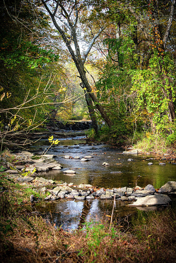 Ridley Photograph - Ridley Creek-The Creek by Judy Wolinsky