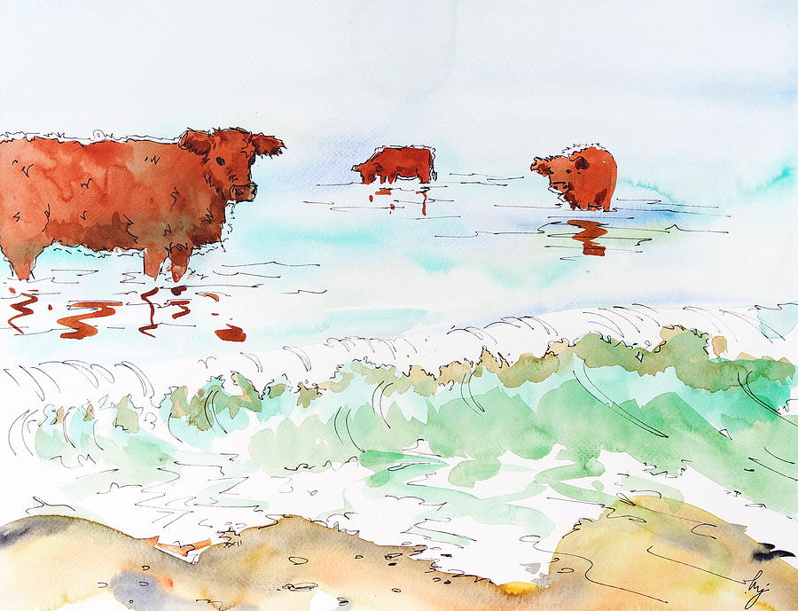Riggit Galloway Cattle standing in the sea surreal watercolour painting Painting by Mike Jory