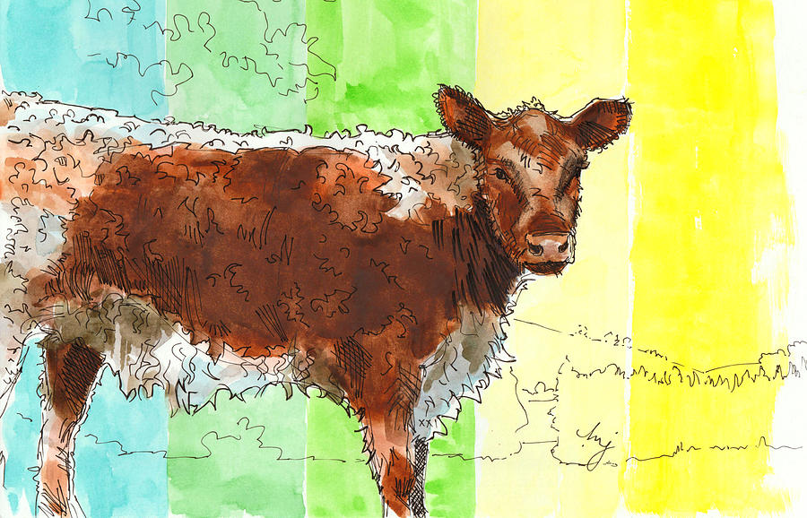 Riggit Galloway cow painting brown and white calf Drawing by Mike Jory