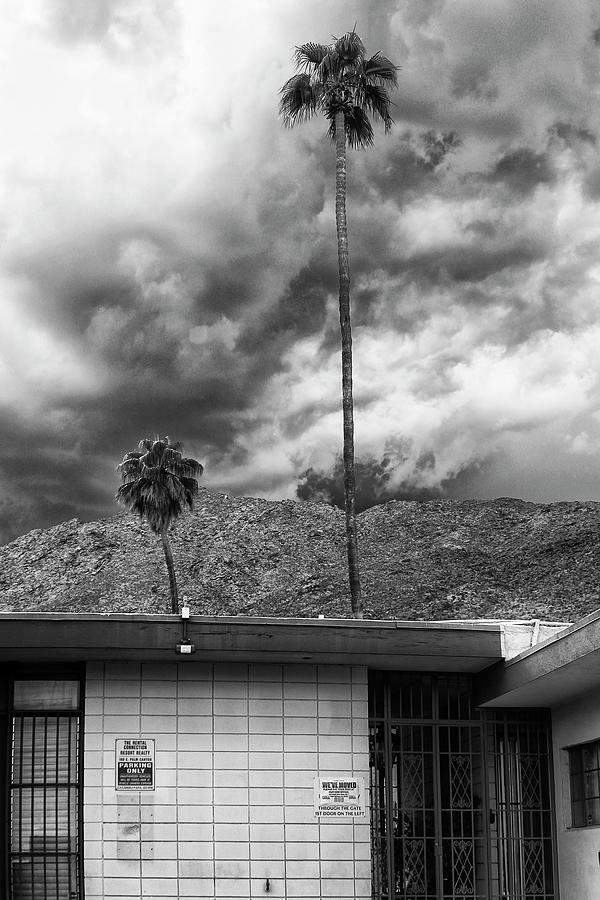 RIGHT HERE OR OVER THERE Palm Springs CA Photograph by William Dey
