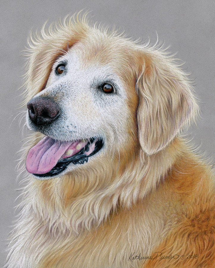 Riley Drawing by Katherine Plumer - Fine Art America