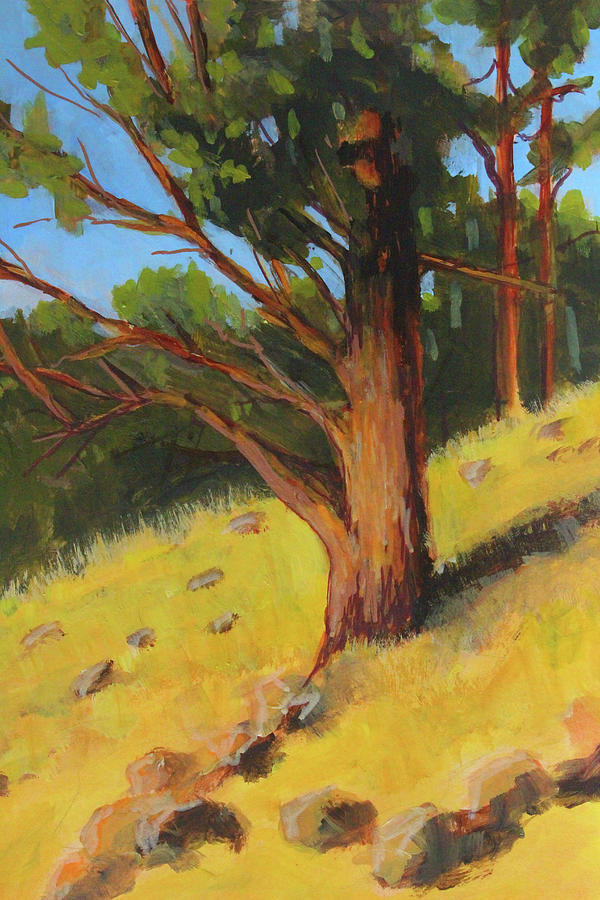 Summer Painting - Riley Ranch Pine by Nancy Merkle
