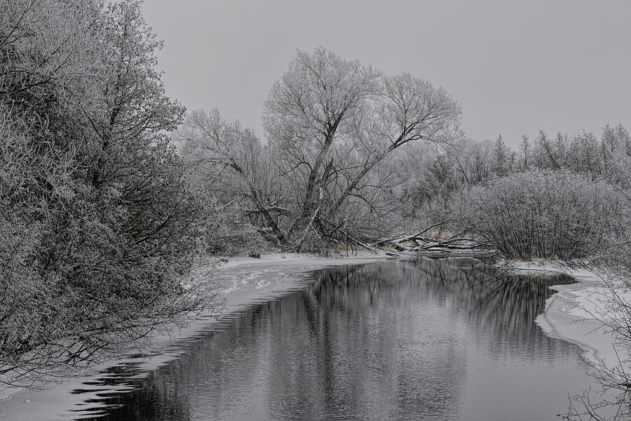 Rime Ice Along The Plover River Photograph by Dale Kauzlaric