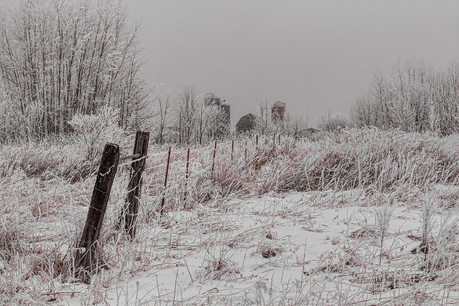 Rime Ice Farm Fence Line Photograph by Dale Kauzlaric