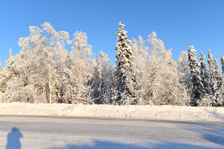 Winter Photograph - Rime Ice by Jack Mander Winter Photograph - Rime Ice by Jack Mander