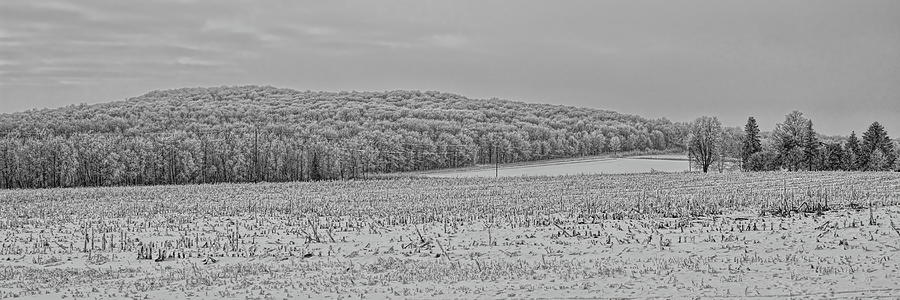 Rime Ice Overlooking A Corn Field BW Photograph by Dale Kauzlaric