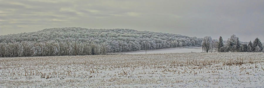 Rime Ice Overlooking A Corn Field Photograph by Dale Kauzlaric